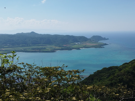 Mount Maapee