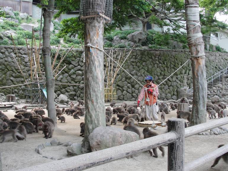 Mount Takasaki Natural Zoo