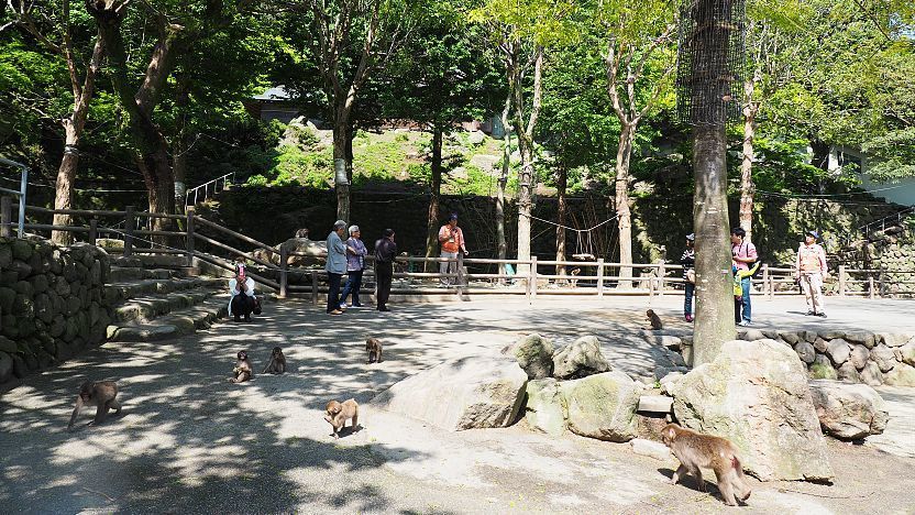 Mount Takasaki Natural Zoo