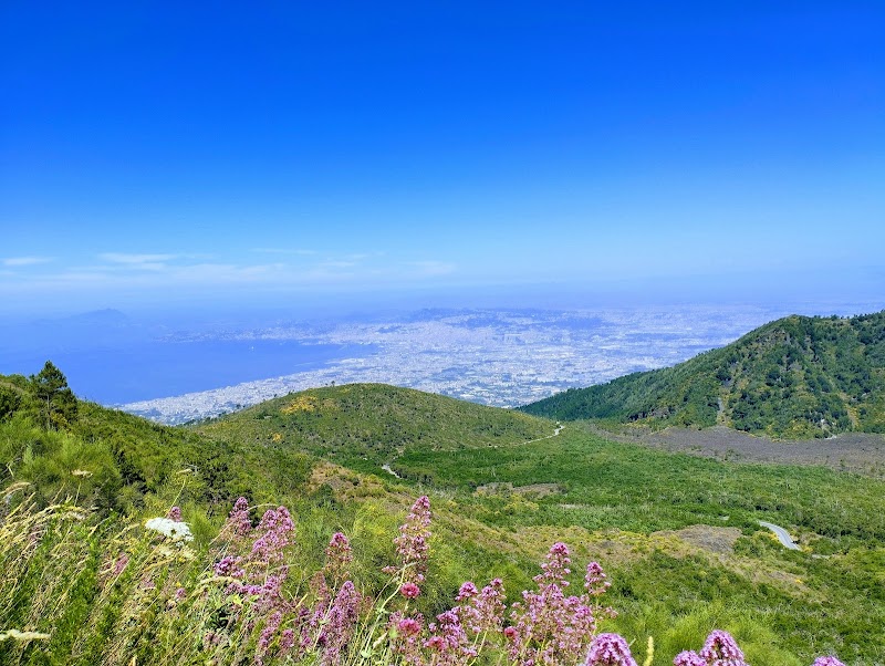 Mount Vesuvius Hike