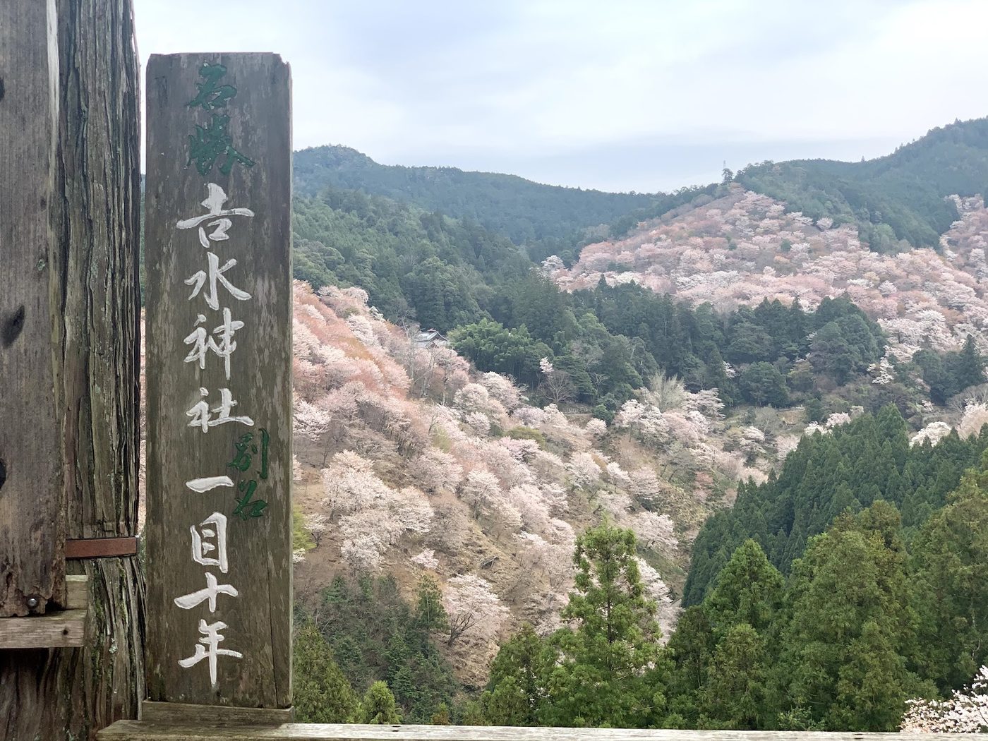 Mount Yoshino