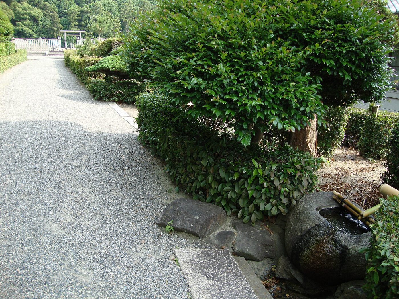 Mozu Ancient Tombs (Kofun)