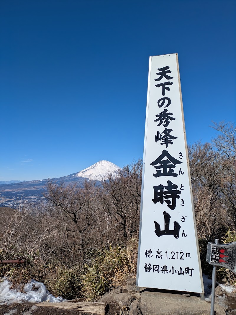 Mt. Kintoki Hike