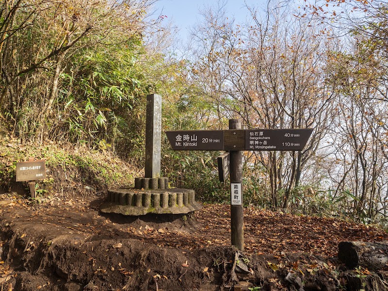 Mt. Kintoki Hike