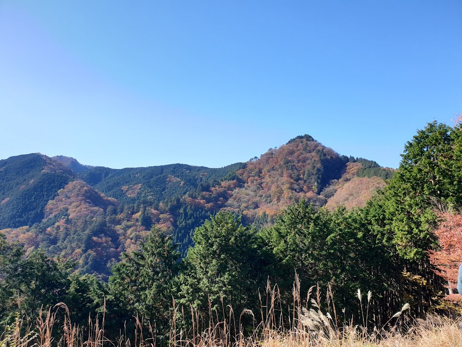 Mt. Mitake Day Hike