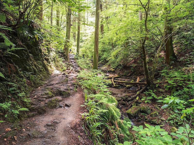 Mt. Takao Hiking