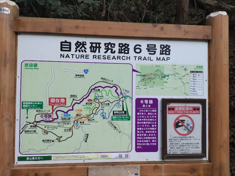 Mt. Takao Hiking