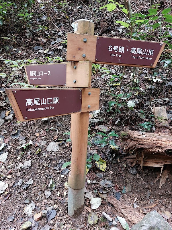 Mt. Takao Hiking