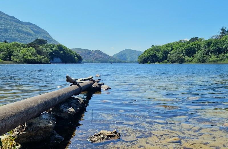 Muckross House & Gardens
