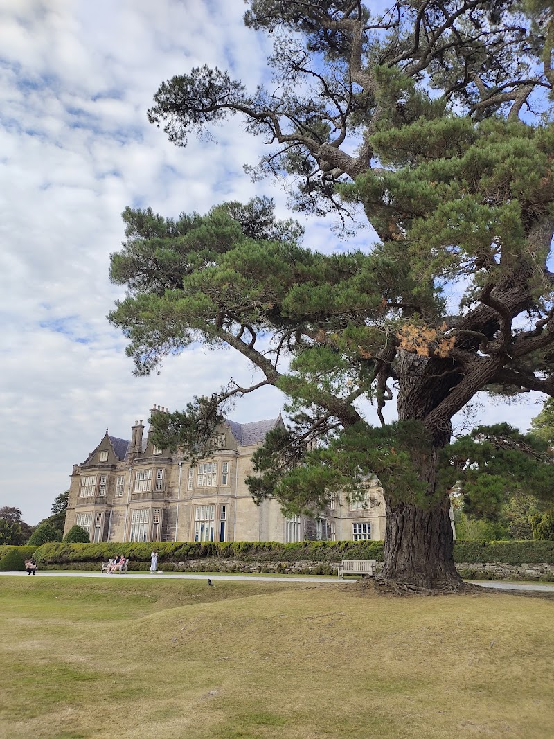 Muckross House & Gardens