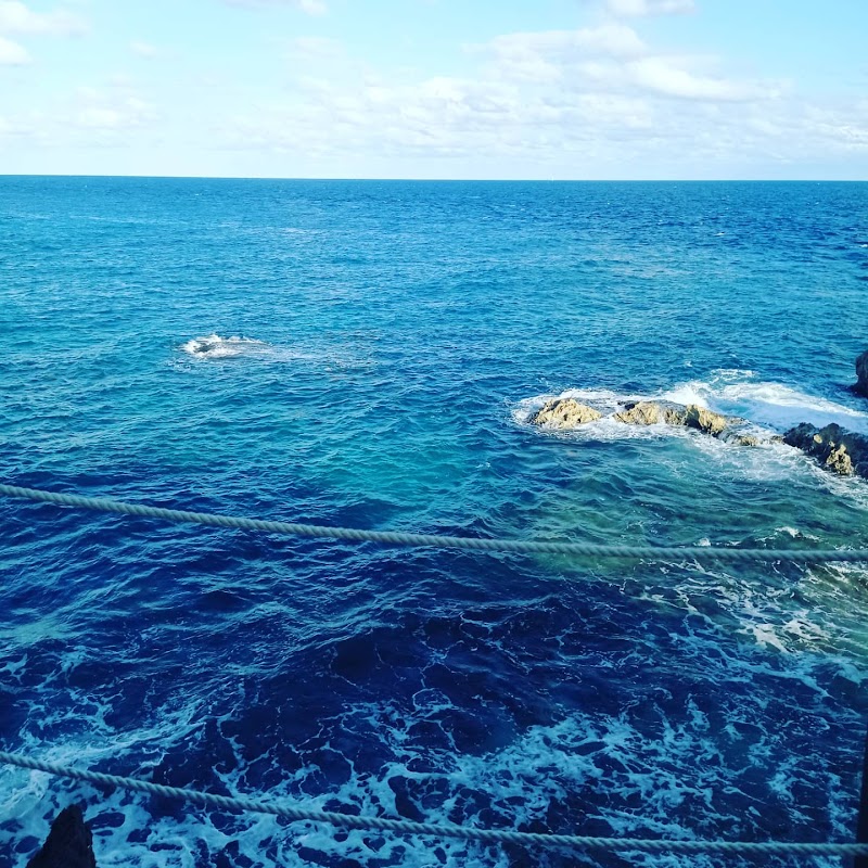 MUSA Underwater Museum