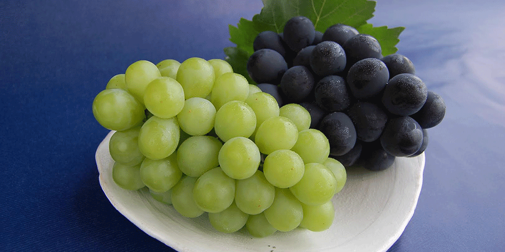 Muscat Grapes