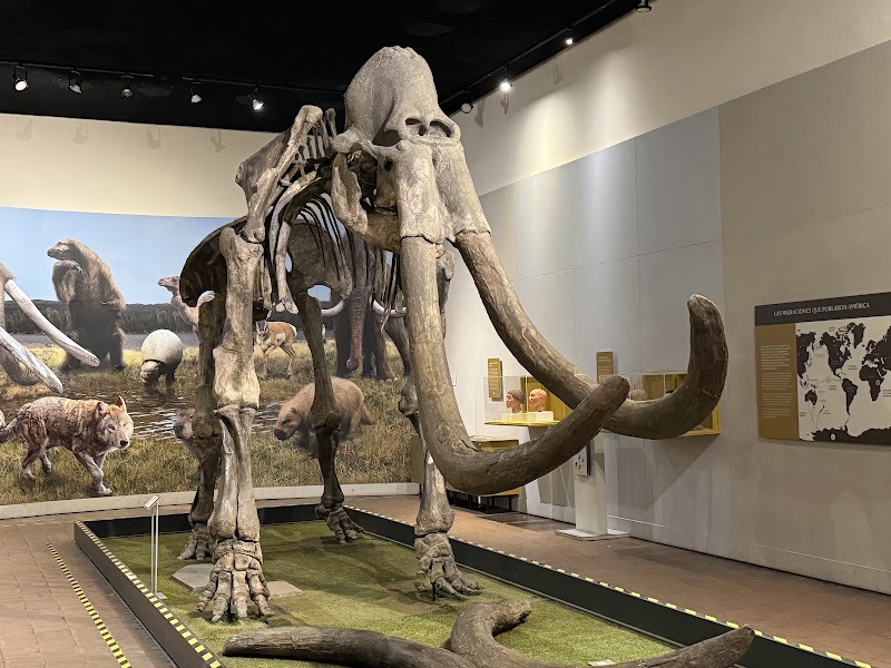 Museo Regional de Guadalajara