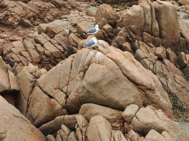 Muuido Island