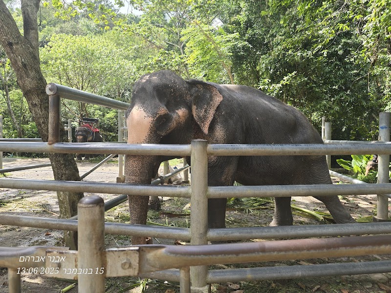 Na Muang Waterfall