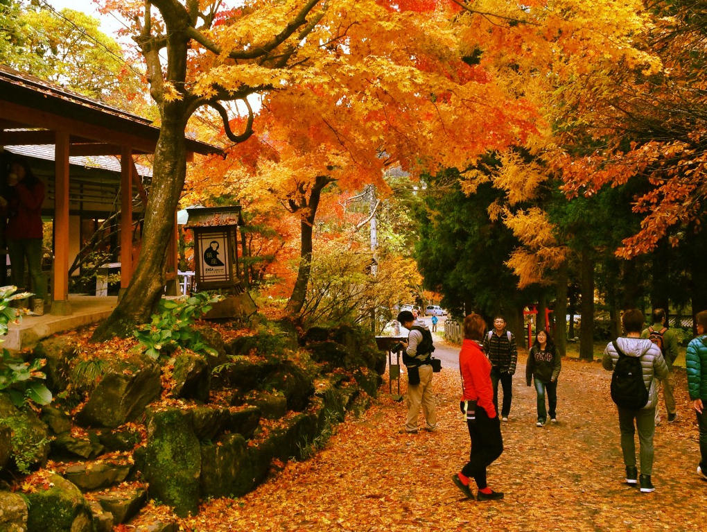 Nagano Autumn Foliage Drive