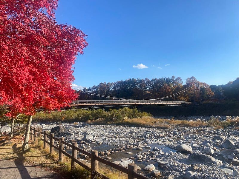 Nagano Autumn Foliage Drive