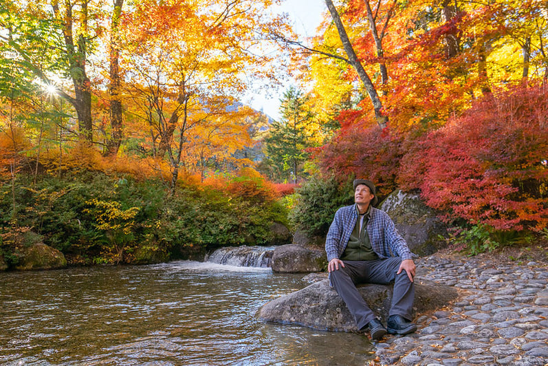 Nagano Autumn Foliage Drive