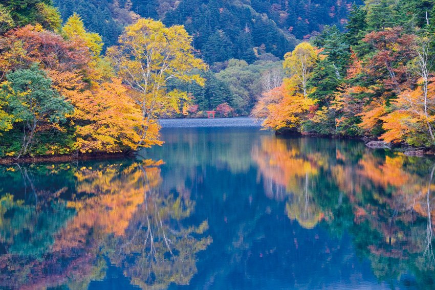 Nagano Autumn Foliage Drive