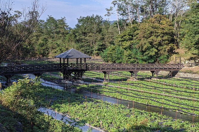 Nagano Wasabi Farm Visit