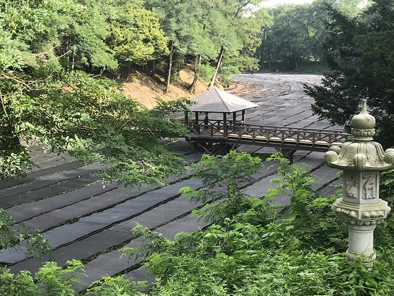 Nagano Wasabi Farm Visit