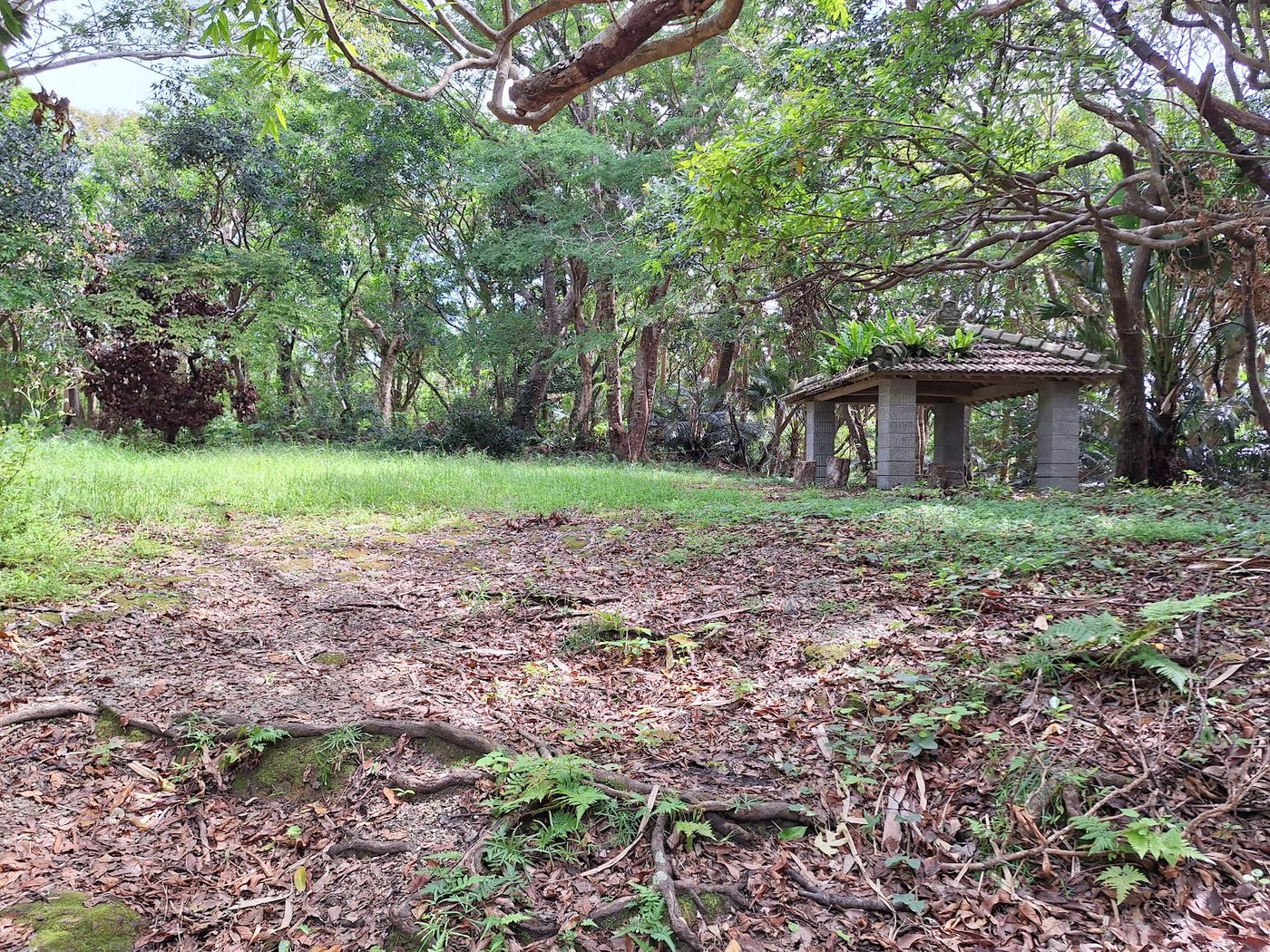 Nago Castle Ruins