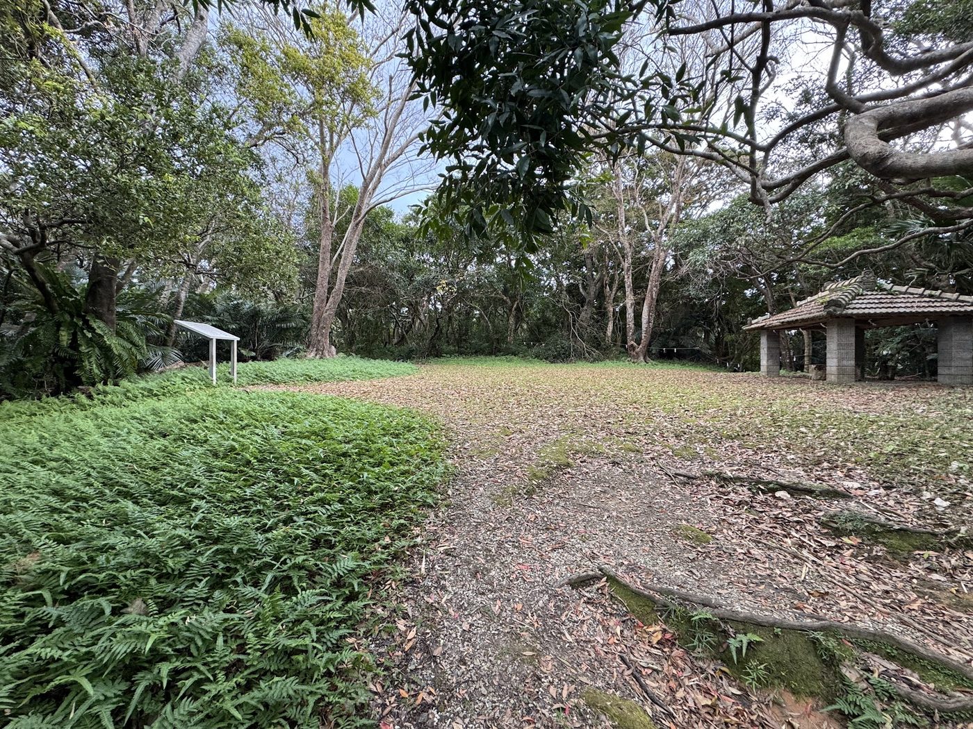 Nago Castle Ruins
