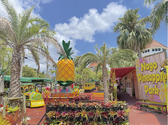 Nago Pineapple Park