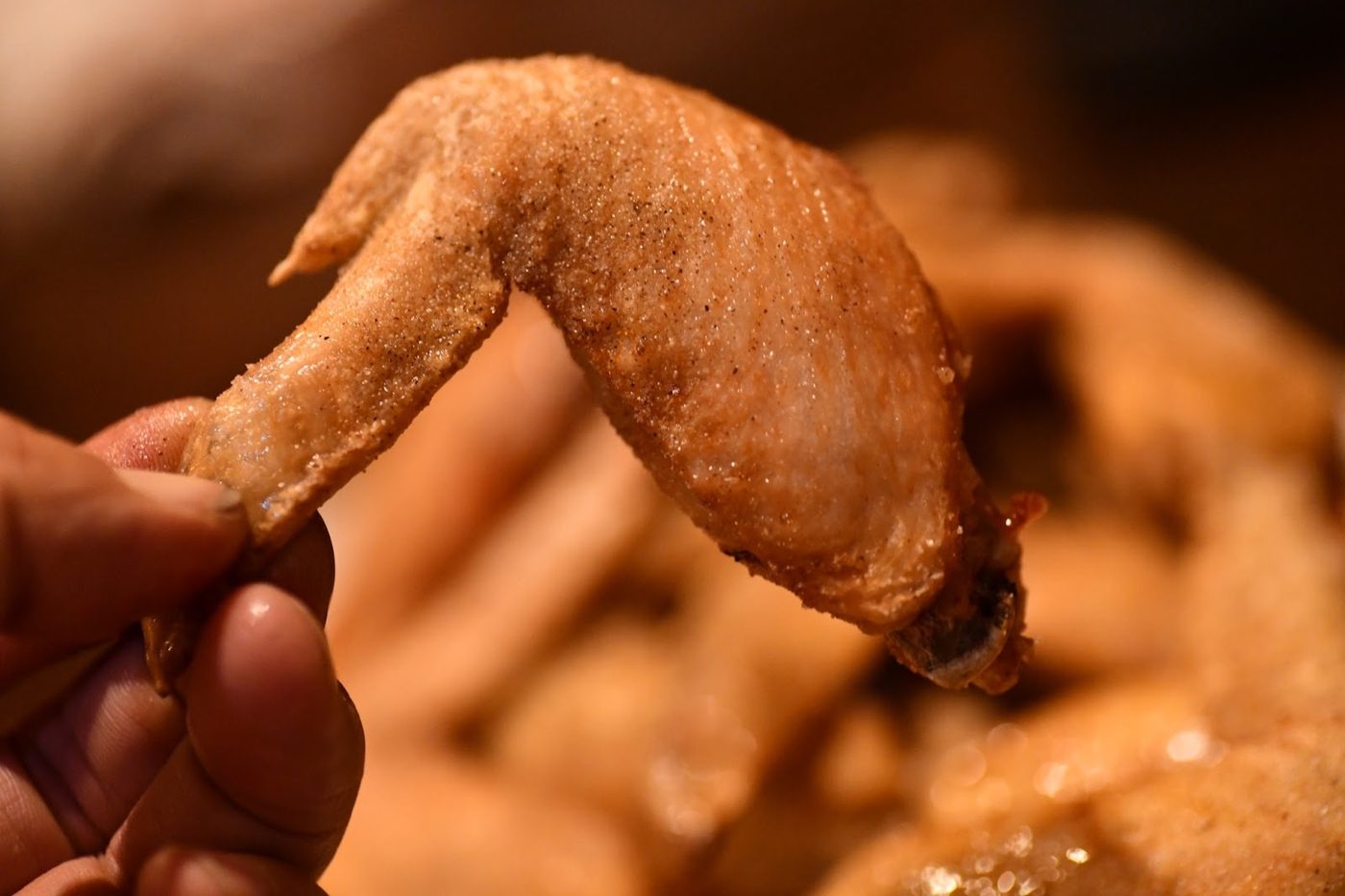Nagoya Tebasaki (Chicken Wings)