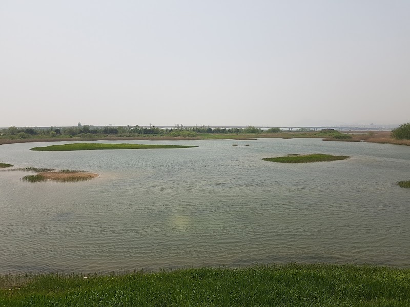 Nakdong River Estuary