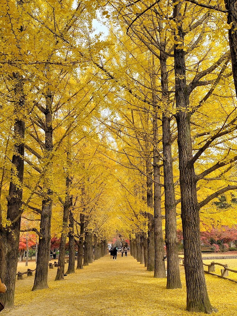 Nami Island