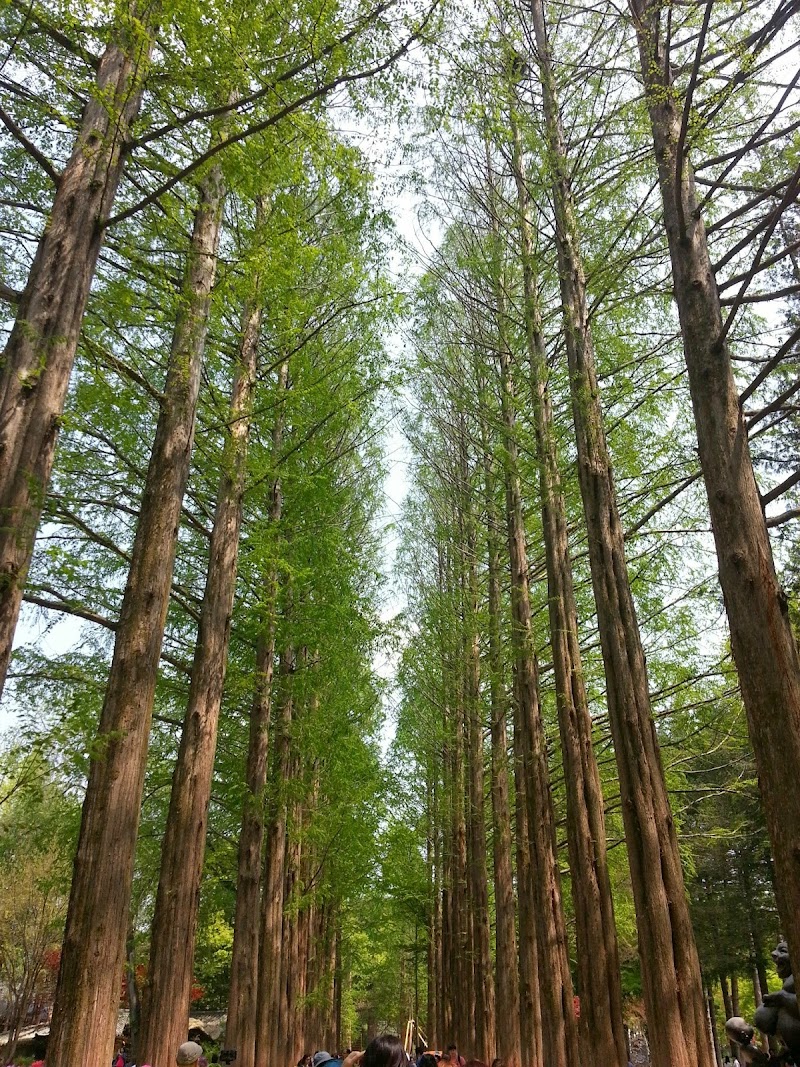 Nami Island