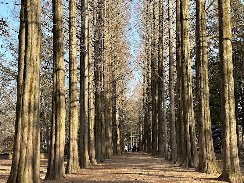 Nami Island