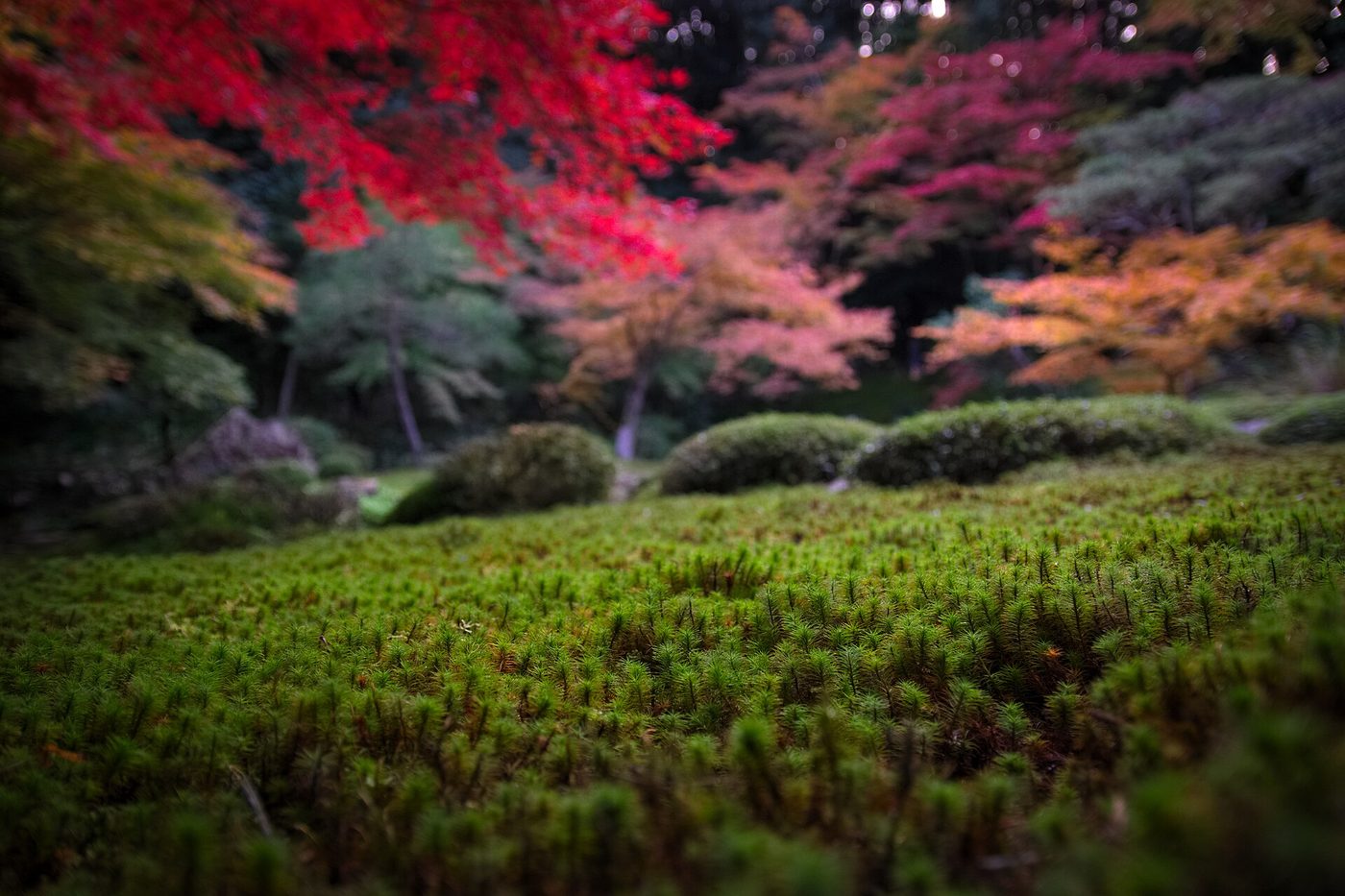 Nanzen-ji Temple