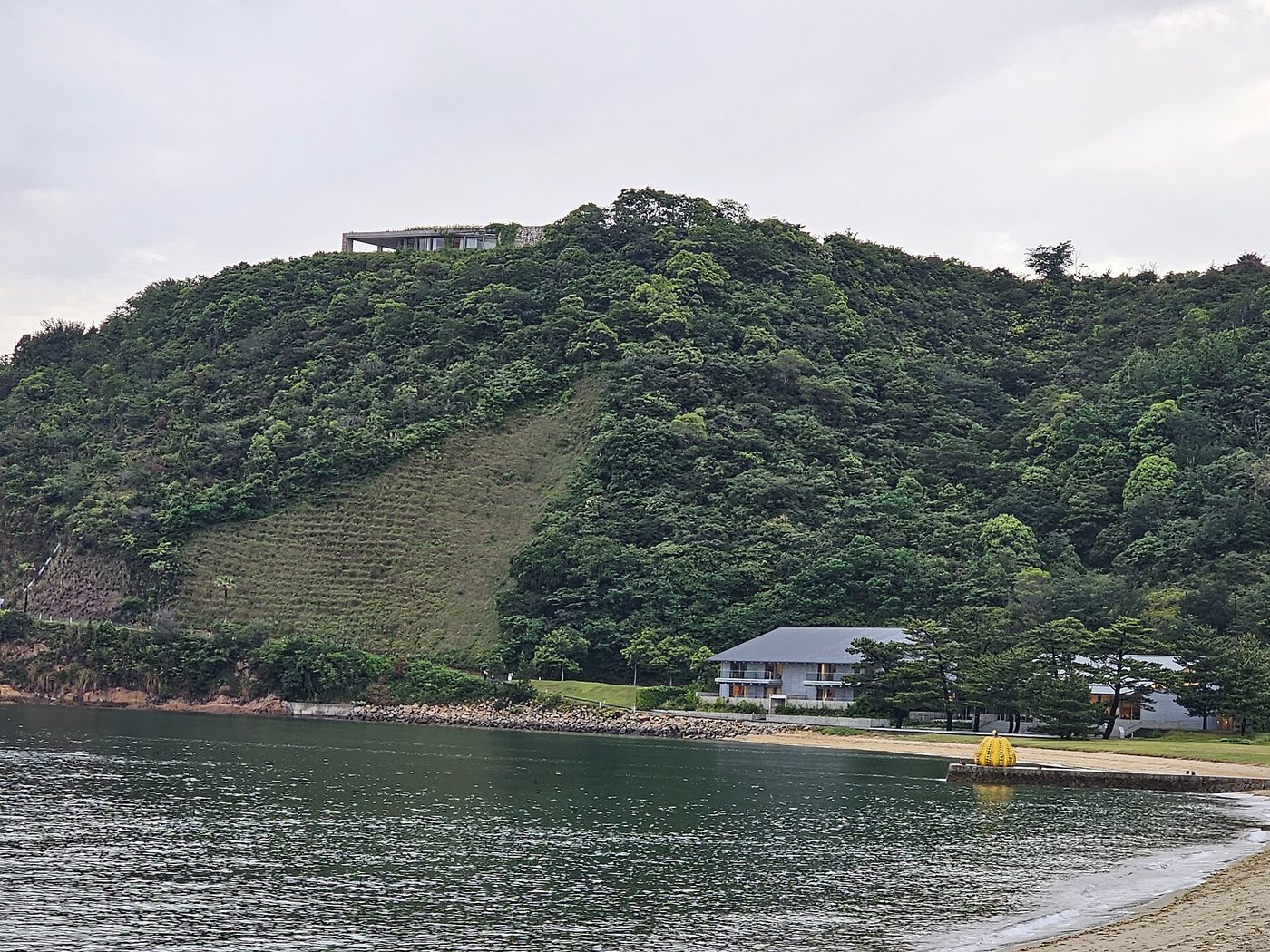 Naoshima Benesse House Museum