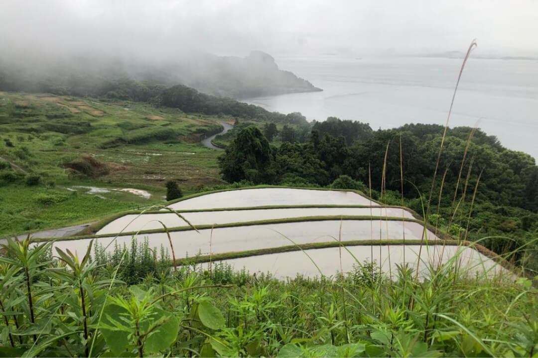Naoshima Terraces