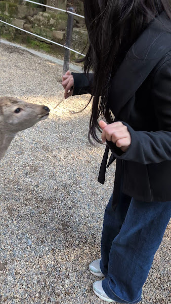 Nara Park