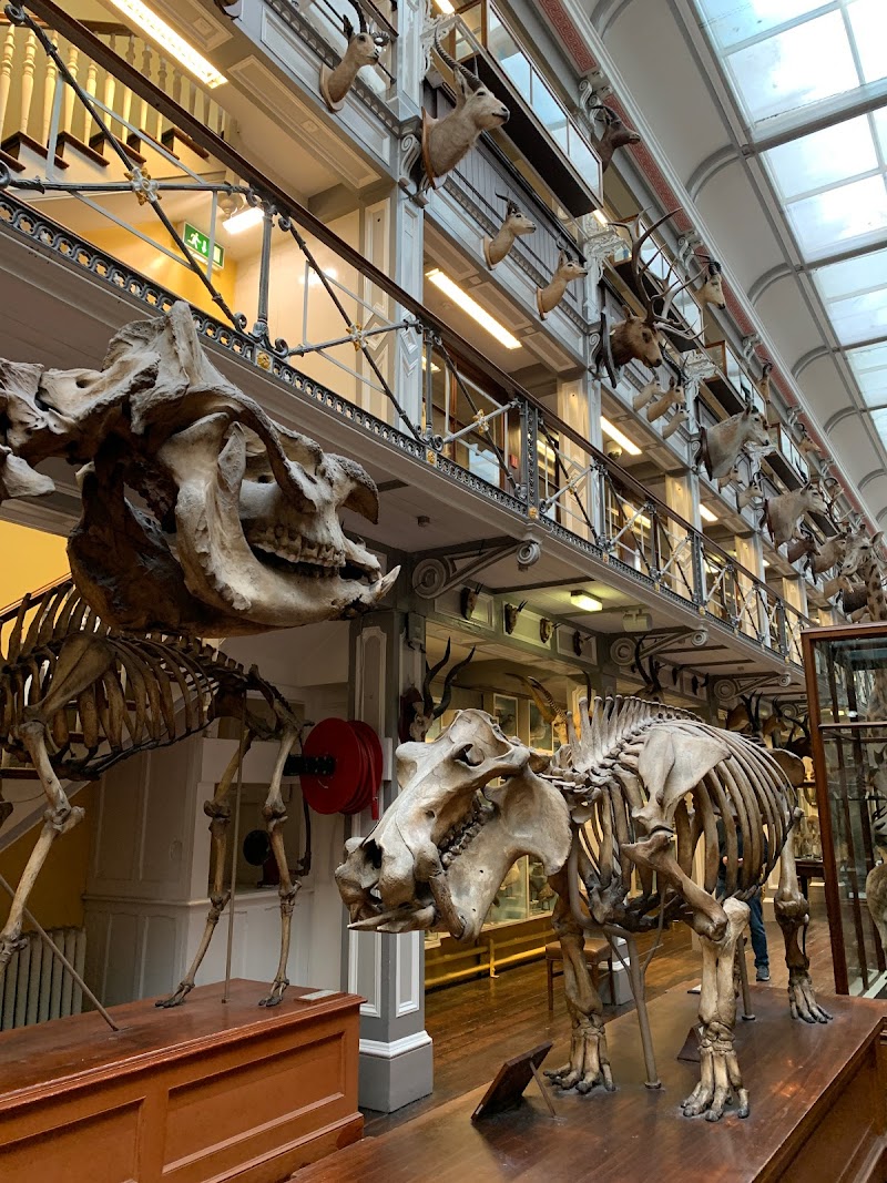 National Museum of Ireland