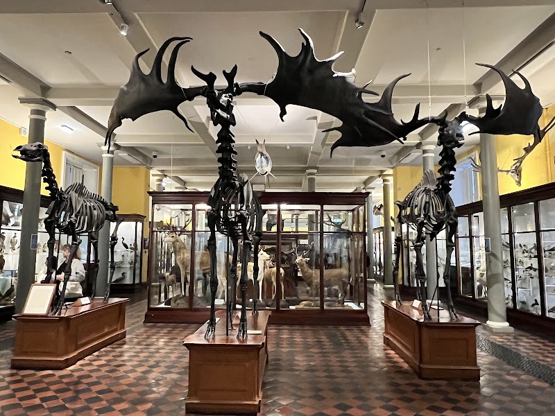 National Museum of Ireland