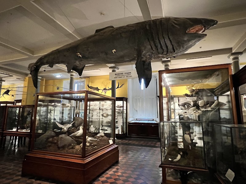 National Museum of Ireland