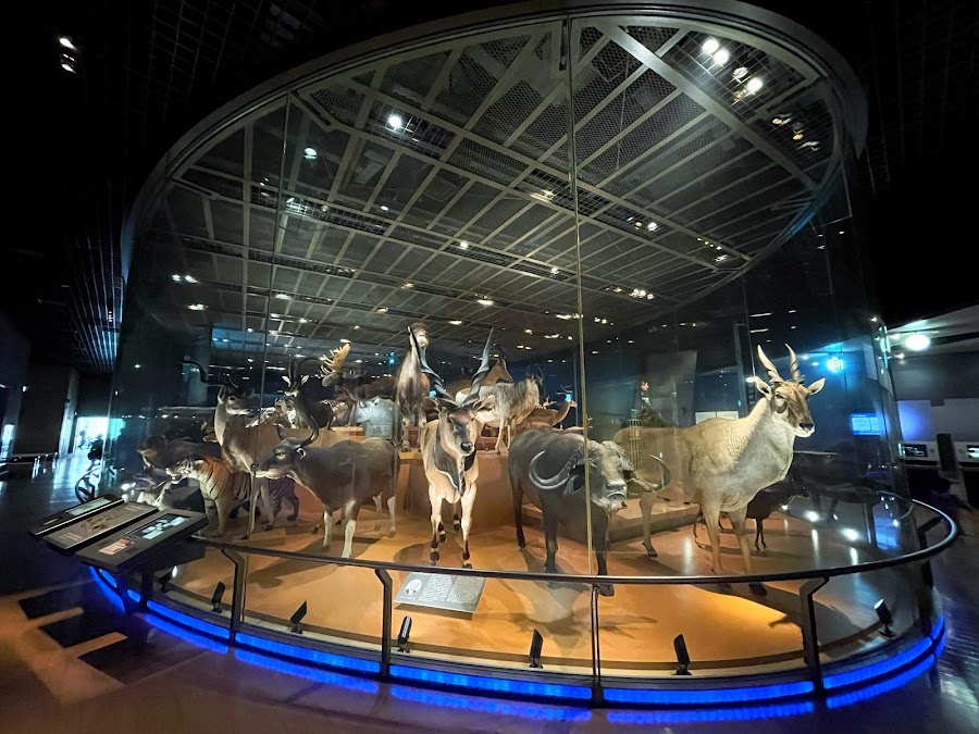 National Science Museum