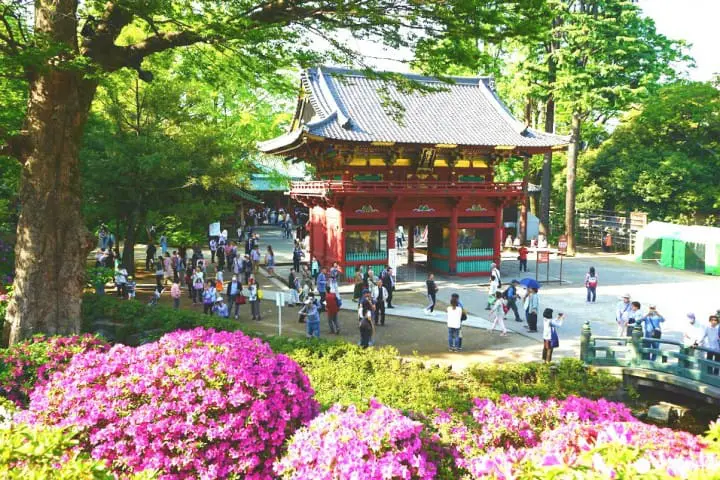 Nezu Shrine