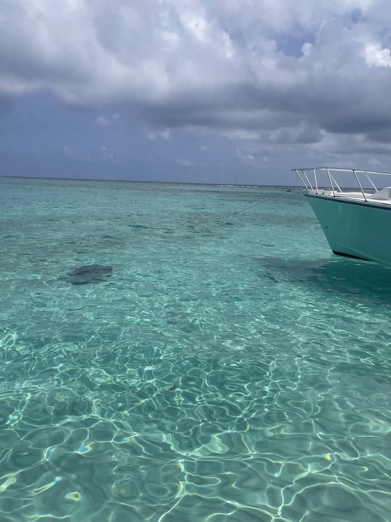 Night Snorkel Tour