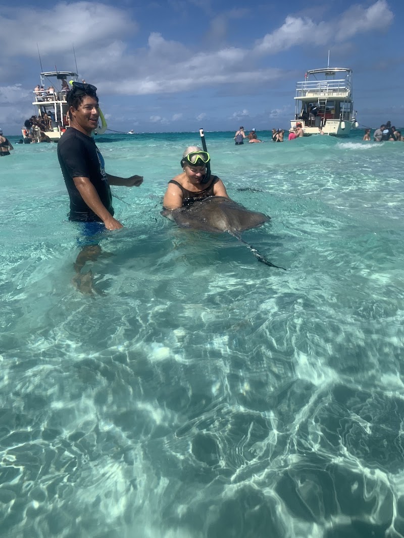 Night Snorkel Tour