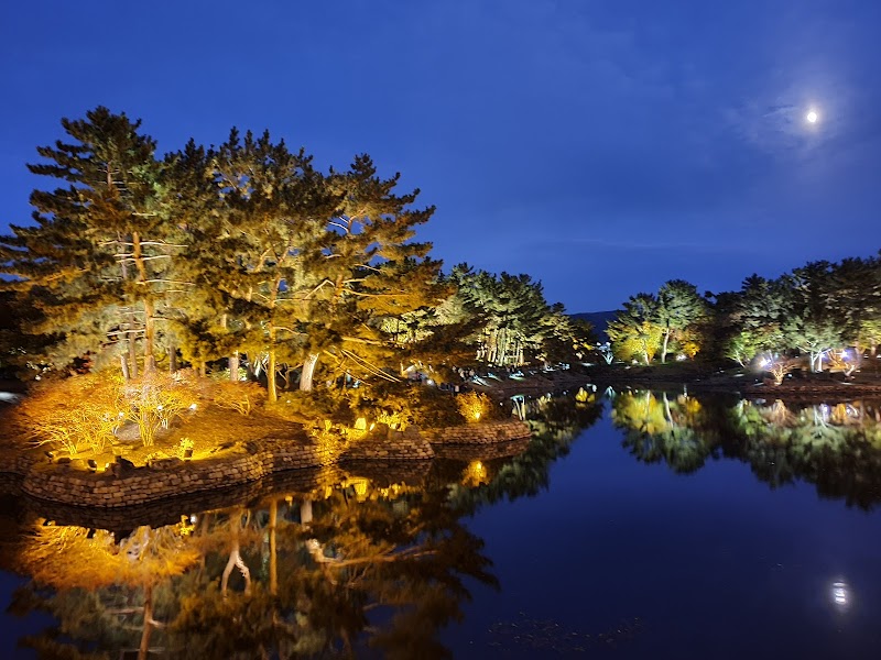 Night Tour of Donggung