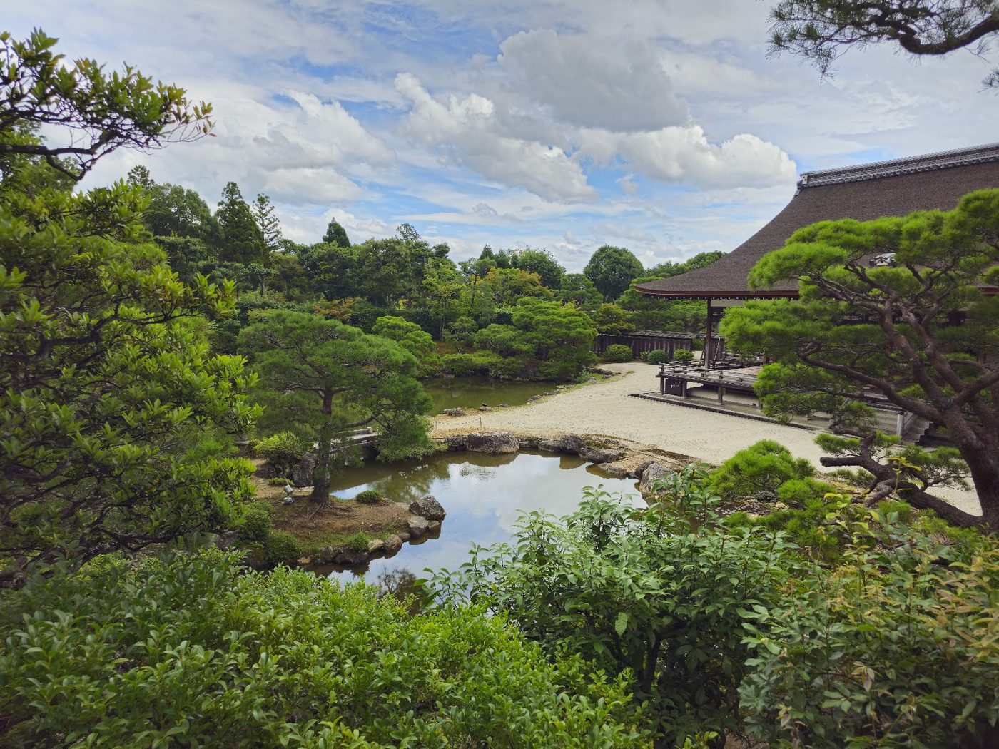 Ninna-ji Temple (Cherry Blossoms)