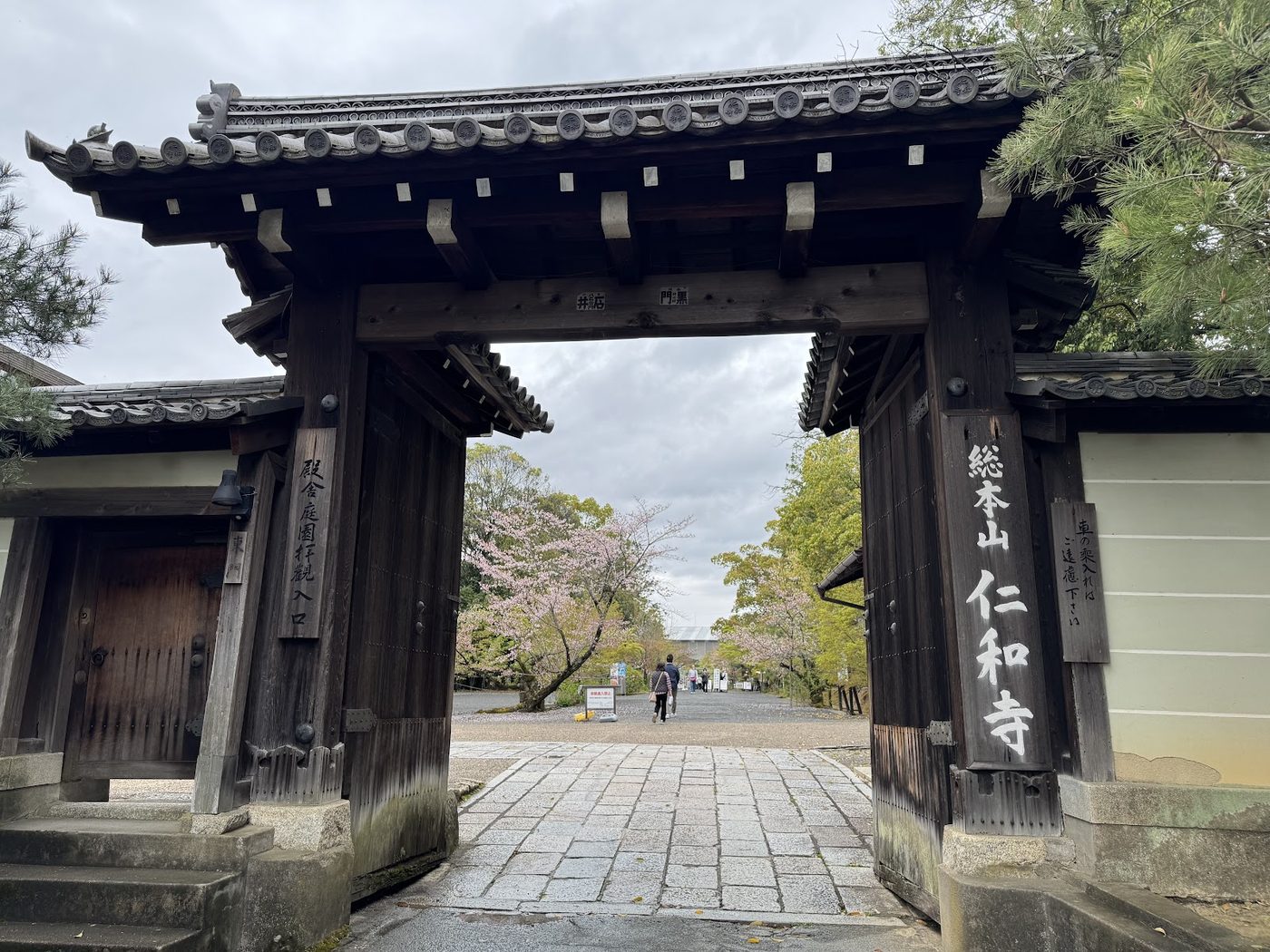 Ninna-ji Temple (Cherry Blossoms)