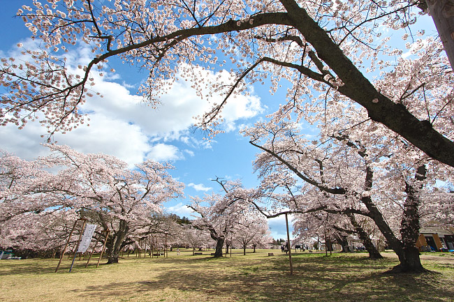Nishi Park