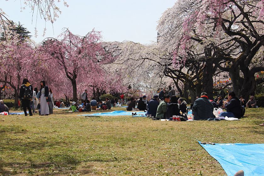 Nishi Park