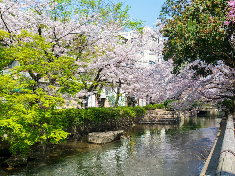 Nishikawa Canal Walk
